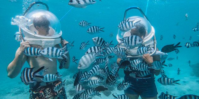 Full day of underwater adventures (7)